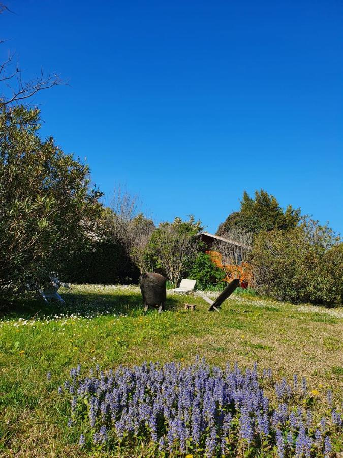 La Cabane Du Pesquier En Provence Caumont-sur-Durance Exteriér fotografie