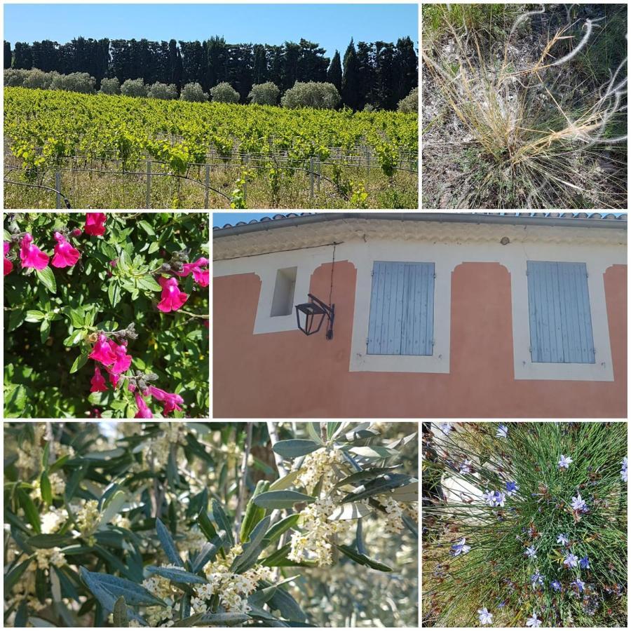 La Cabane Du Pesquier En Provence Caumont-sur-Durance Exteriér fotografie